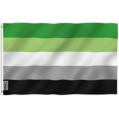 ANLEY Fly Breeze 3x5 Fuß Aromantic Pride Flagge - Lebendige Farbe und UV-Lichtechtheit - Leinwandkopf und doppelt genäht - Aromantic Pride Flagge mit Messingösen 3 x 5 Ft
