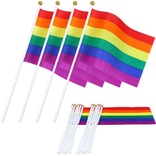 30 Stück Mini Hand LGBT Fahnen Regenbogen Gay Pride Dekorative Hofflaggen Gay Pride Rainbow Hand Held Flagge LGBT Lesben Gay Pride Kleine Flaggen Homosexuell Rechte Flagge