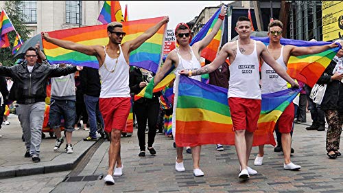 Fontee® [Gay Pride Flagge [90X150 cm] [Lebendige Farbe] [UV-lichtbeständig] [Leinwandkopf] [Doppelt genäht] [Dicke Messingösen] [Regenbogenfahne]